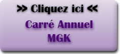 Carre annuel + Méditation 2015